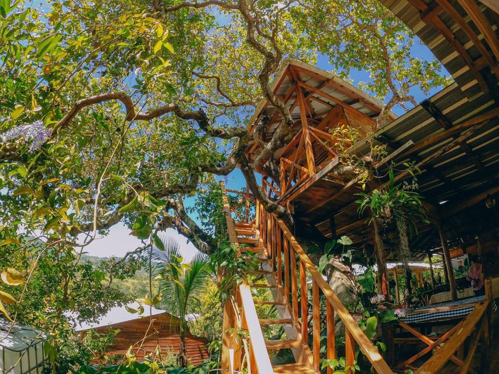 El Gallo Ecolodge Puerto Plata Kültér fotó